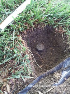 buried_sprinkler_head Buried sprinkler head